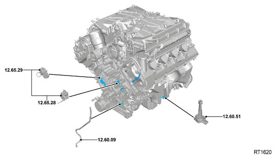 G11699279