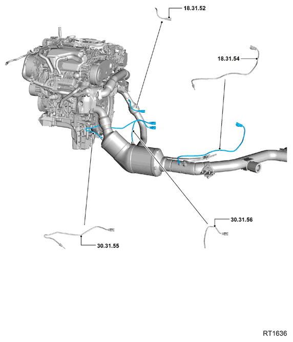 G11699290