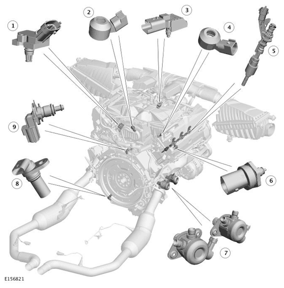 G11699331