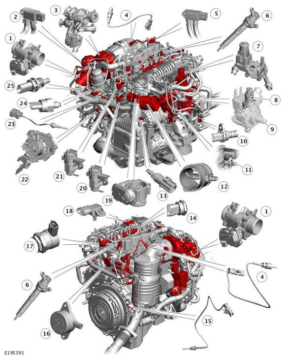 G11699692