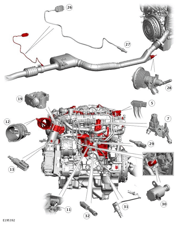G11699693