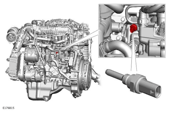 G11699700