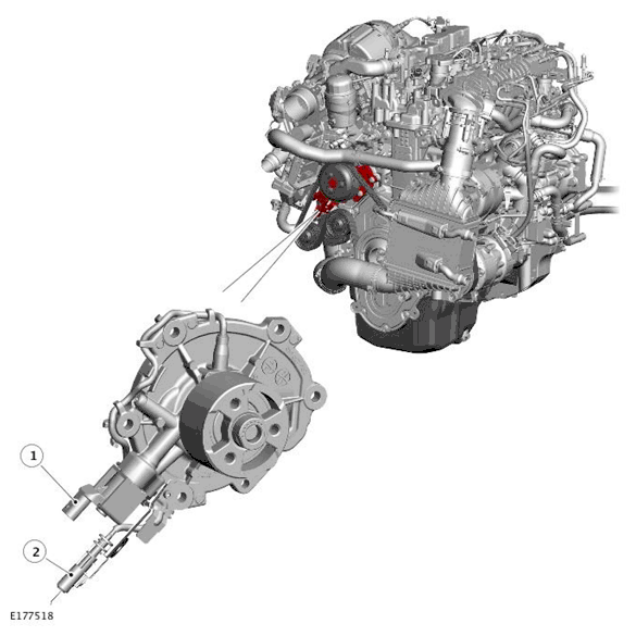 G11699725