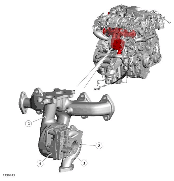 G11699726