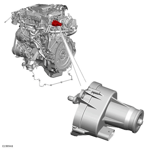 G11699728