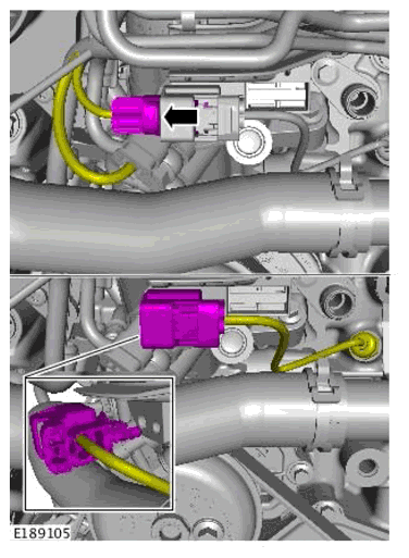 G11699750