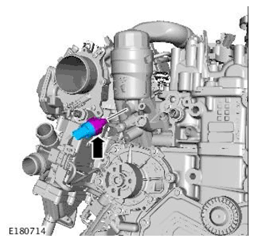 G11699805