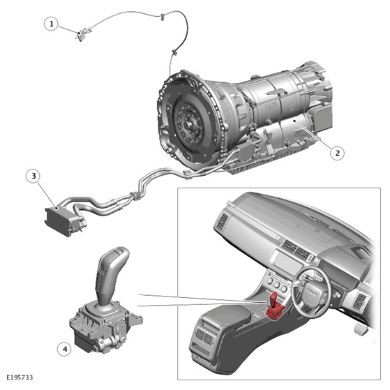 G11699817