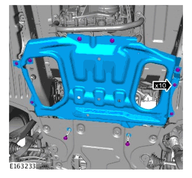 G11699836