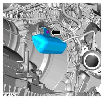 G11700143