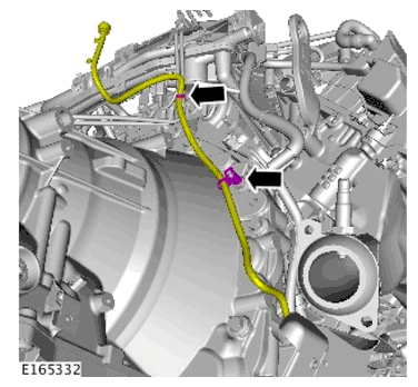 G11700147