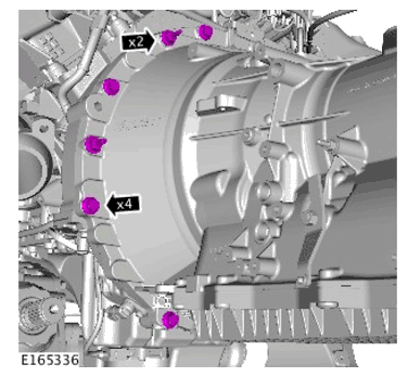 G11700149