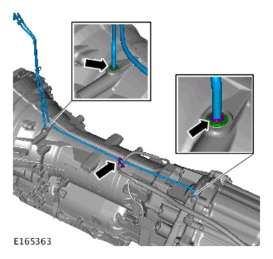 G11700154