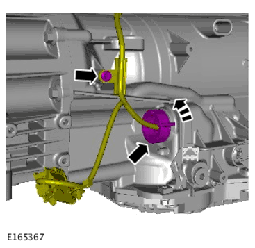 G11700155