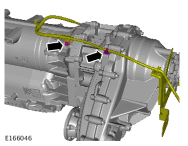 G11700159