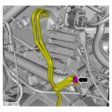 G11700172