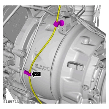 G11700186