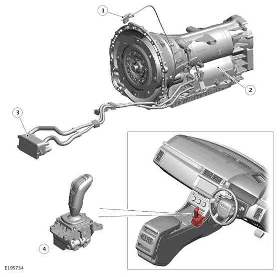 G11700423