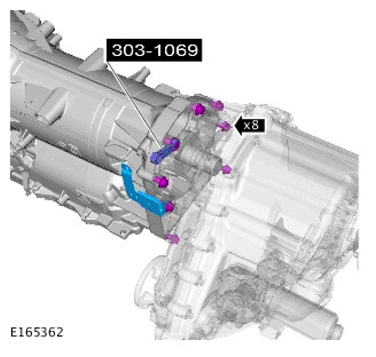 G11700613