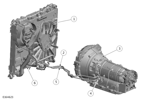 G11700674