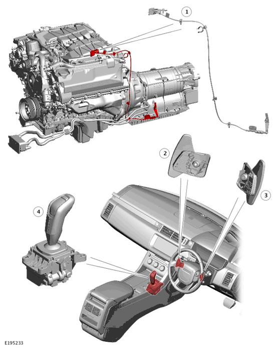 G11700788