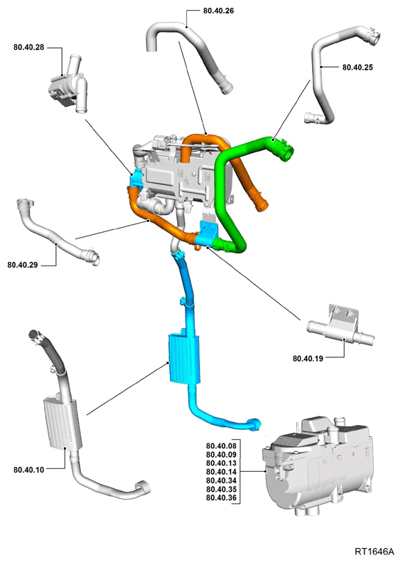 G11701597