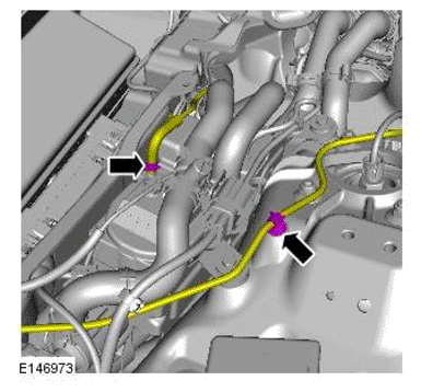 G11701604