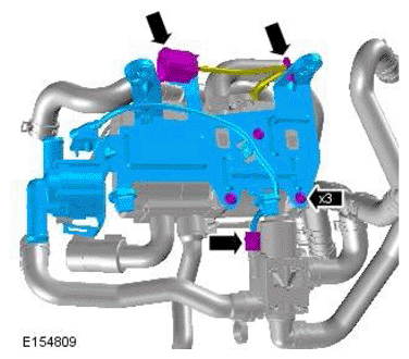 G11701615