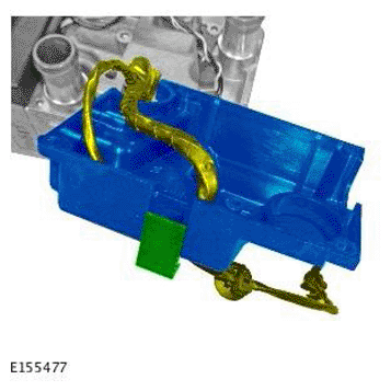 G11701731