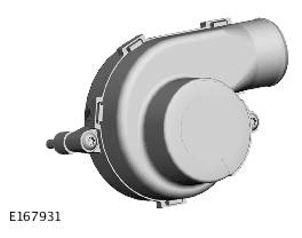 G11701768