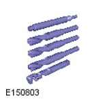 G11702902
