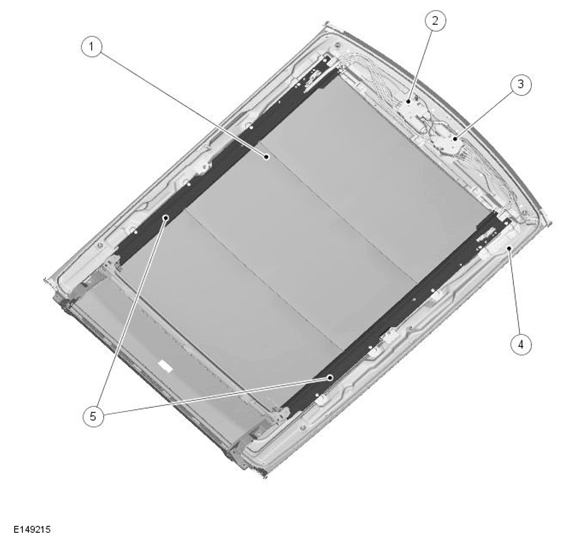 G11704528