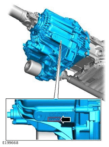 G11707508