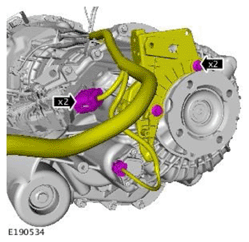 G11707864