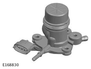 G11707991