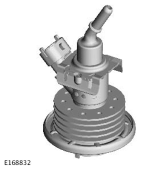 G11707993