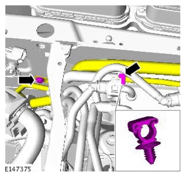 G11708407