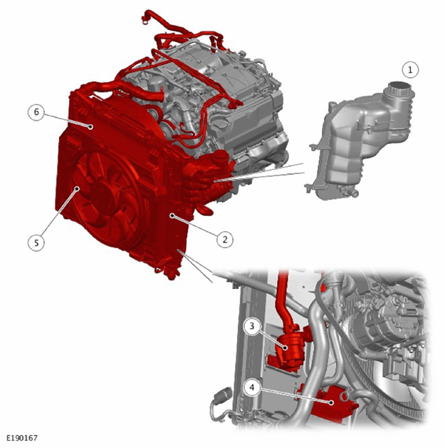 G11709064