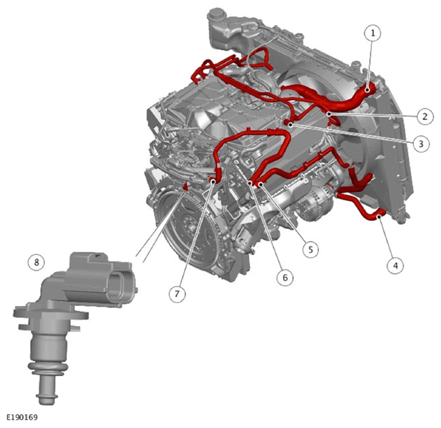G11709066