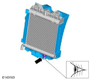 G11709174