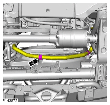 G11709220
