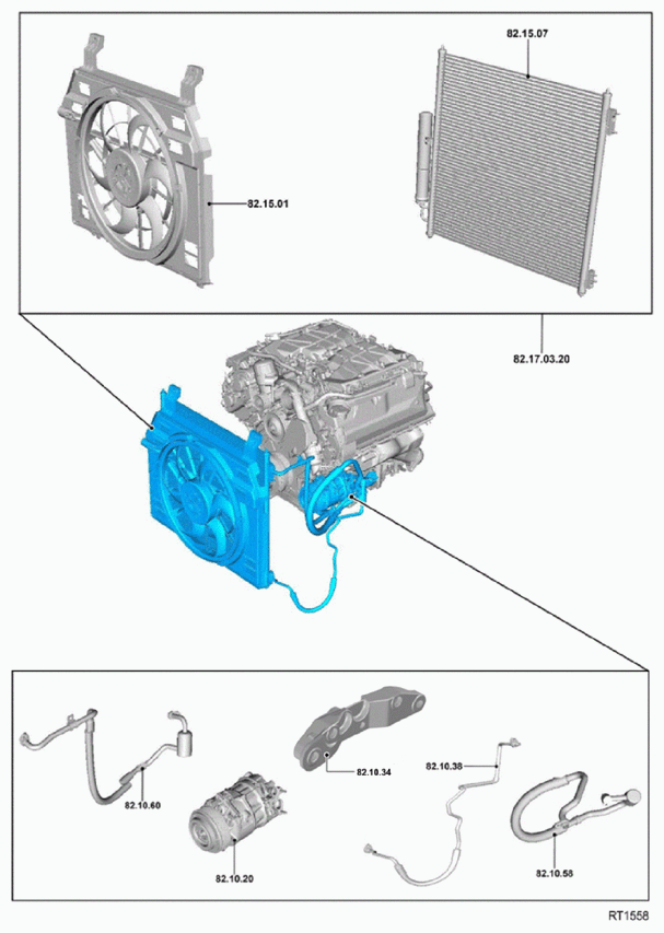 G11709286