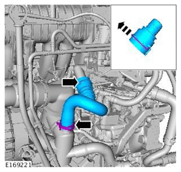 G11709856