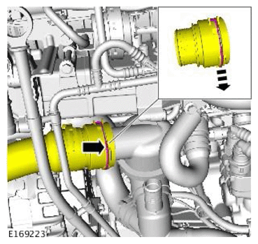 G11709858