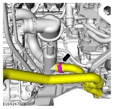 G11709859
