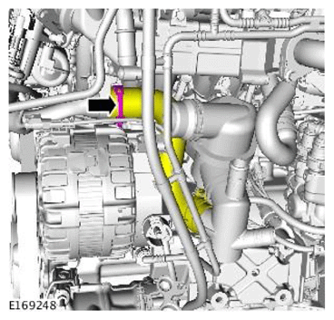 G11709860