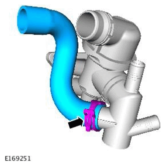 G11709863