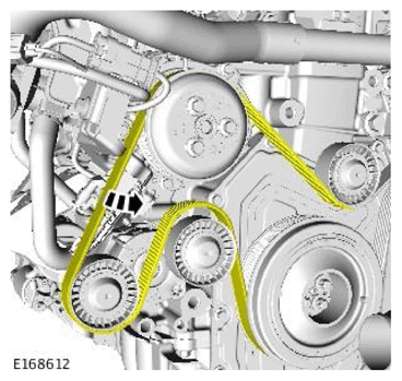 G11709870