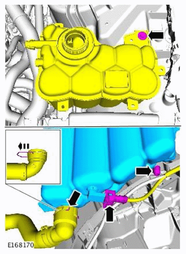 G11709880