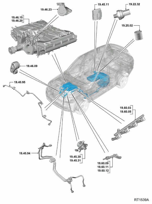 G11709947